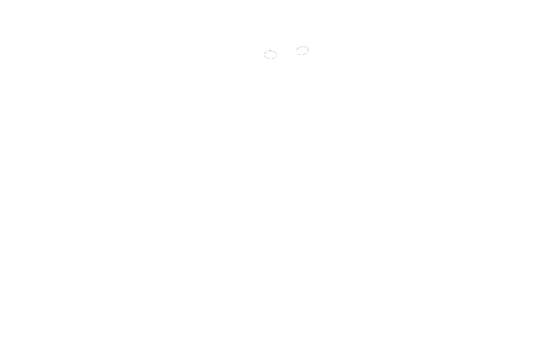 BlackcatMatters logo